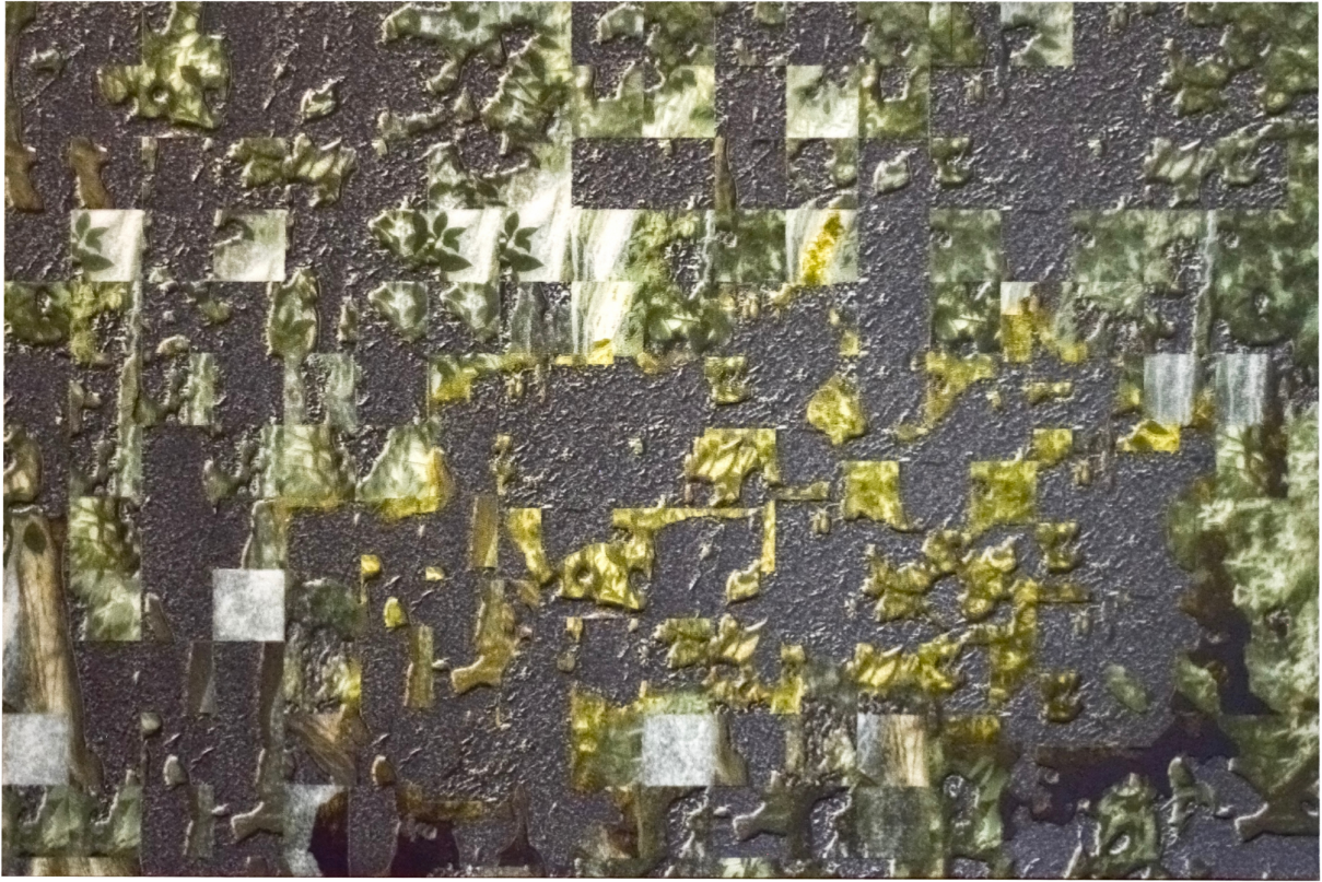 Asphalt versus Nature
