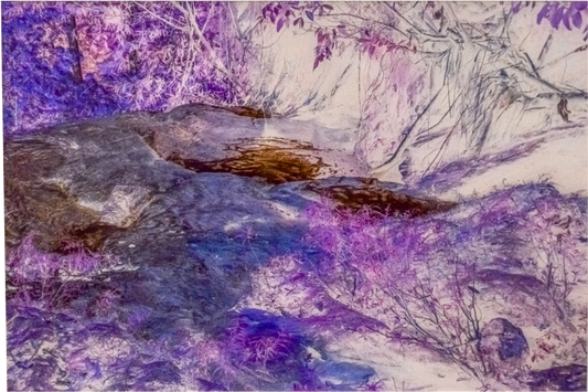 Magenta forest Trail I