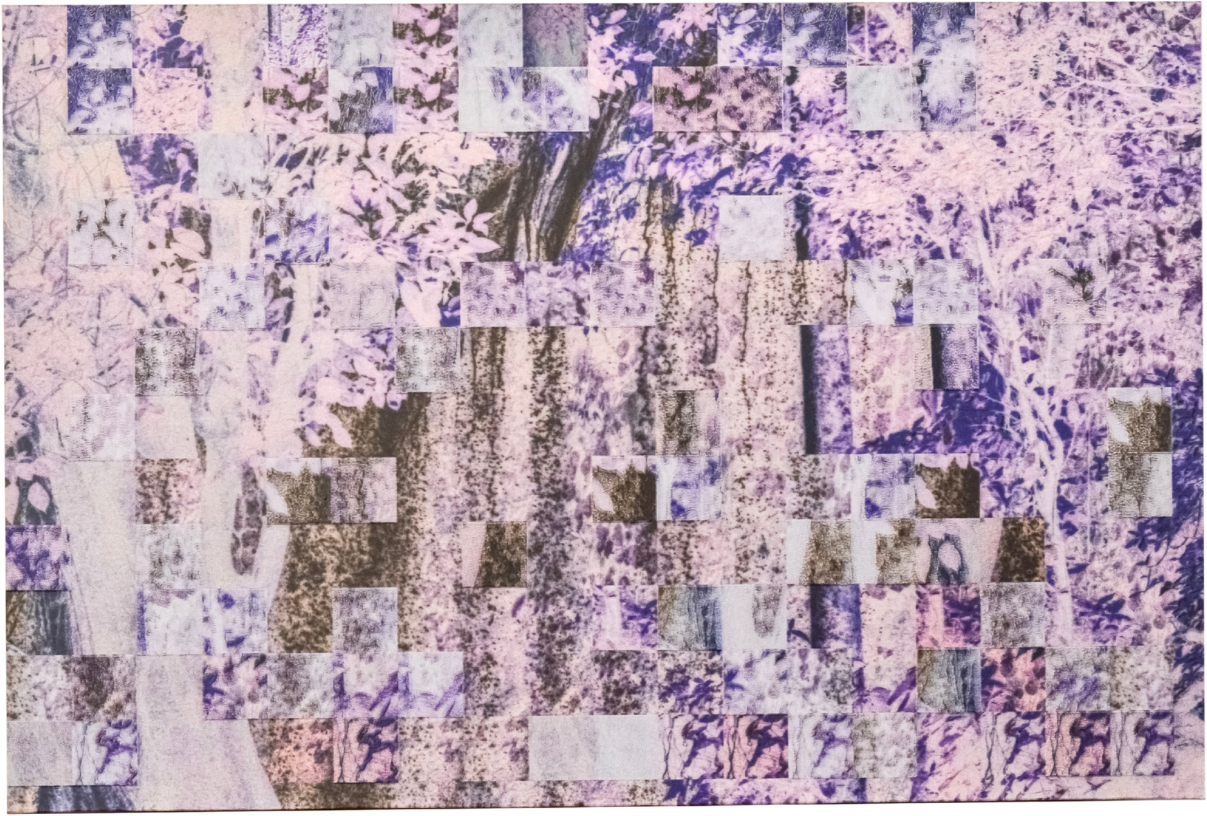 Deconstructed Forest