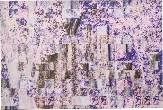 Deconstructed Forest