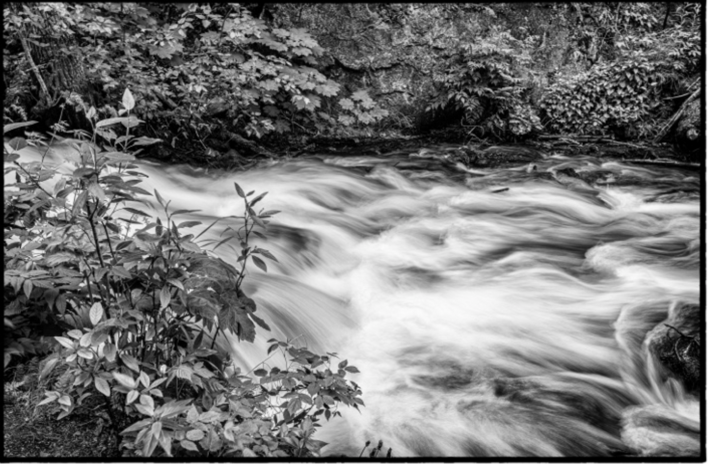 Silky Waters I / Aguas Sedosas I