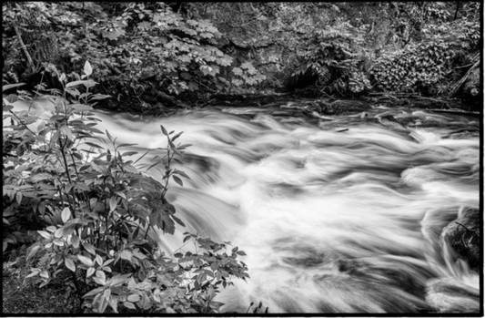 Silky Waters I / Aguas Sedosas I