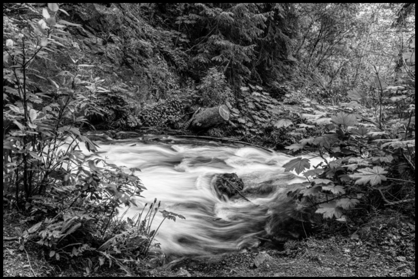 Silky Waters II / Aguas Sedosas II