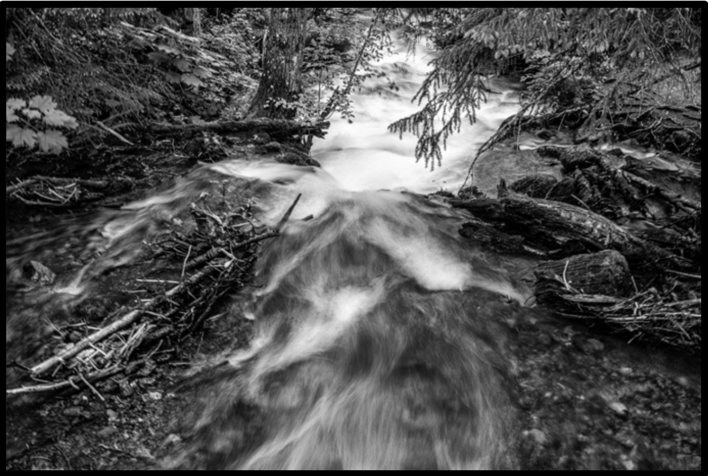 Silky Waters III / Aguas Sedosas III