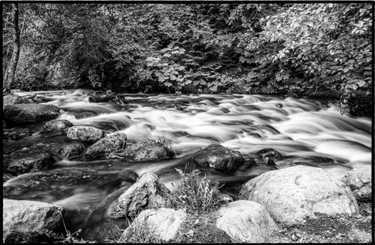 Silky Waters IV / Aguas Sedosas IV