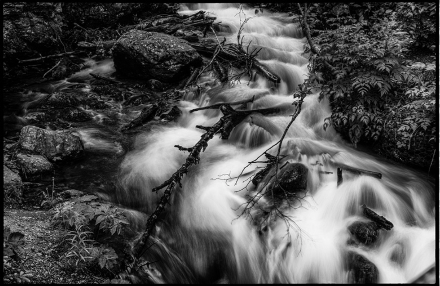 Troubled Waters / Aguas Turbulentas
