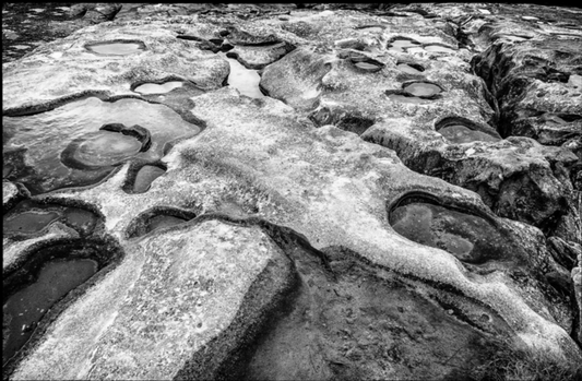 Coogee Walk / Paseo de Coogee