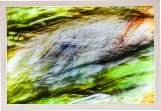 Intermitencias del Paisaje